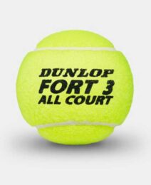dunlop-fort-all-court-LOP960213-(2)