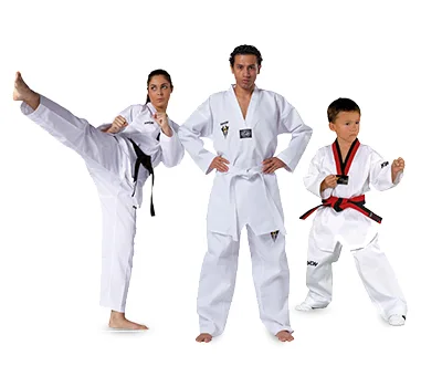 taekwondo_banner_main_mob_400x350px-04.02.22-1