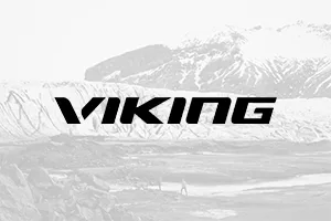 viking_300x200px_banners_19.02.22-1