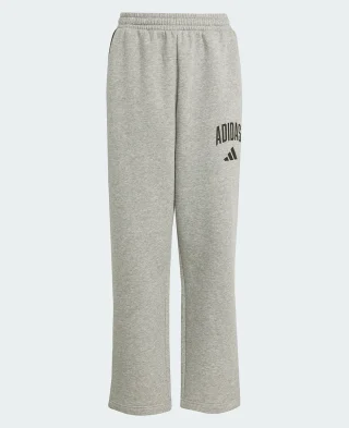 Adidas Donji Dio Essentials Collegiate Typograph