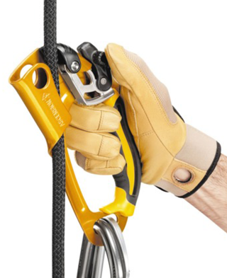 Alternative view of Petzl Asender Ascension Desni