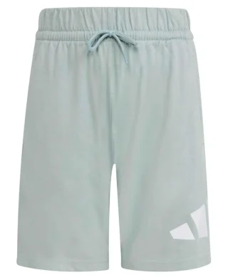 Adidas Šorc Essentials Big Logo