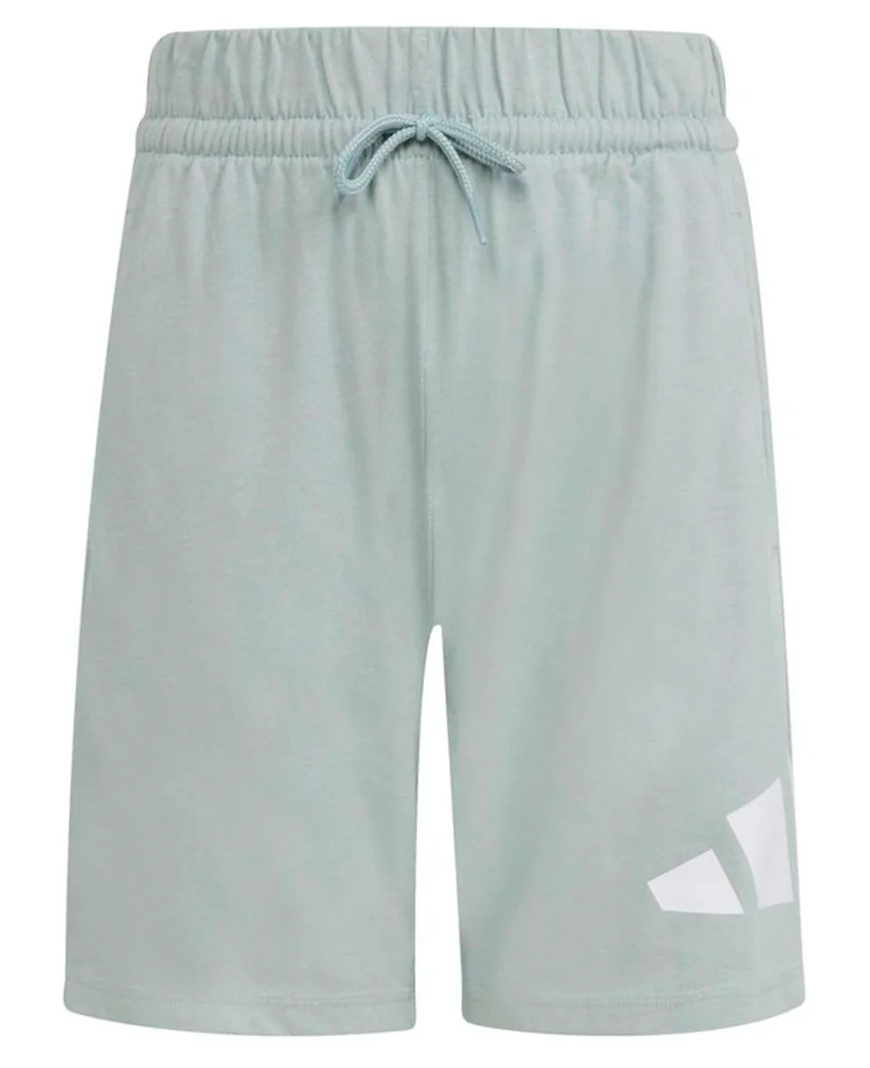 Adidas Šorc Essentials Big Logo